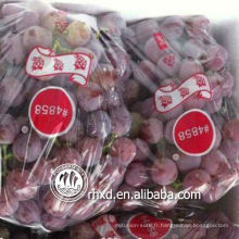 globe rouge raisin 6-7 sacs individuels ou en vrac